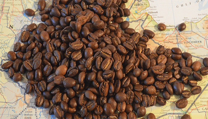 تصویر دانه قهوه کلمبیا روی نقشه