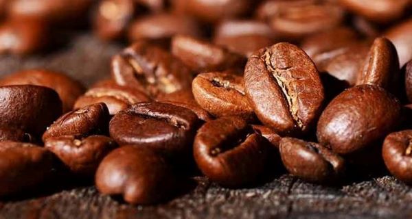 قهوه لیبریکا چیست؟