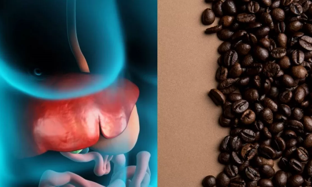 خواص انواع قهوه برای کبد | خواص قهوه برای درمان بیماری های کبدی| سان راپ