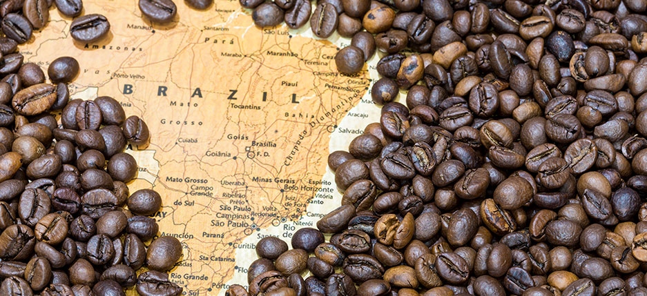 تصویر نقشه برزیل و قهوه برزیل